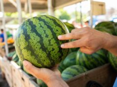 A kétujjas kopogtatós trükk, amivel garantáltan édes görögdinnyét választasz