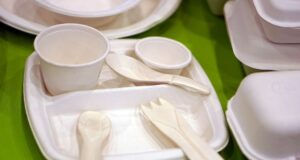 Környezetbarát tányérok: fenntartható megoldás a modern vendéglátásban