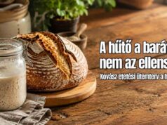 Kovász etetési ütemterv: hogyan tervezd meg a kenyérsütést a hét körül